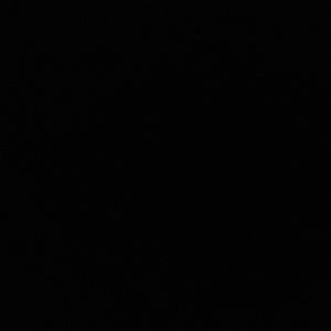 Meet your Posher, Jenni